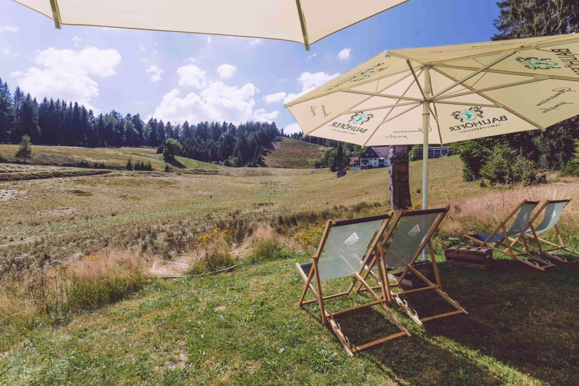 Edelfuchs-Lodge Bühlertal Dış mekan fotoğraf